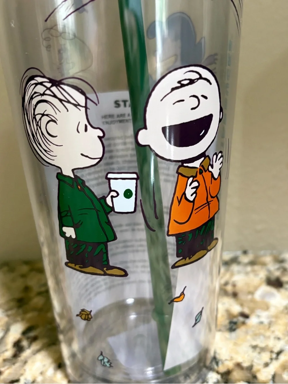 🔥🔥Starbucks Peanuts Autumn Cold Tumbler 2026 Peanuts Edition